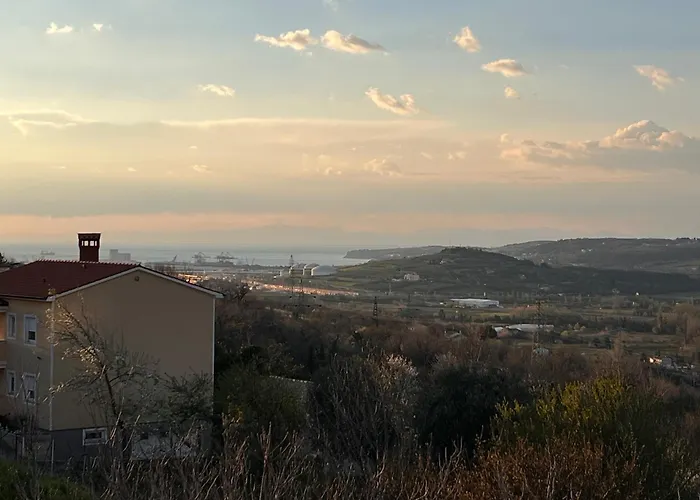 Apartma Metulj Koper - New