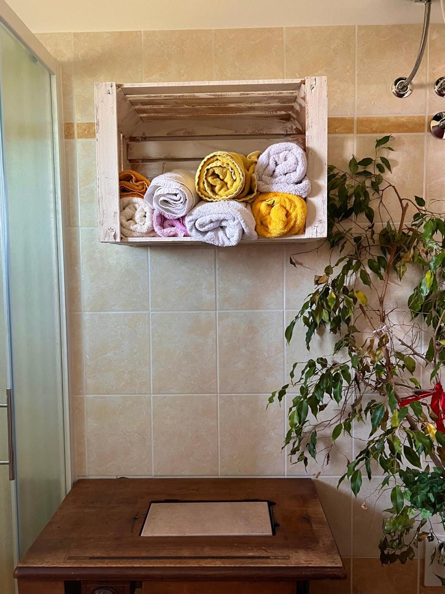 Apartma Metulj Koper - New Apartment Pobegi