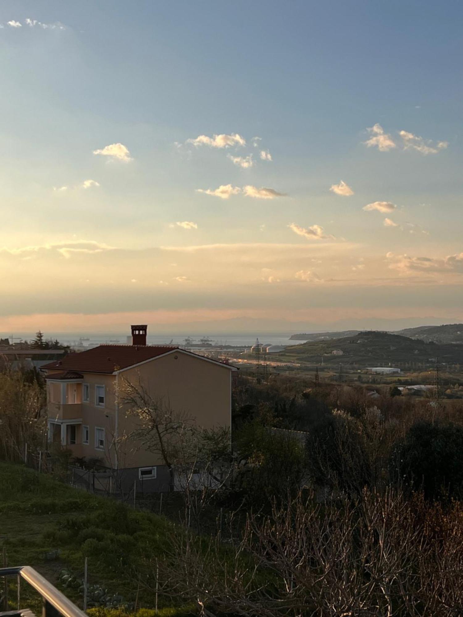 Apartma Metulj Koper - New * Pobegi